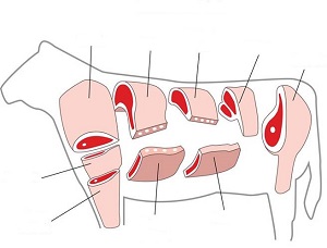 Части туши для горячего копчения