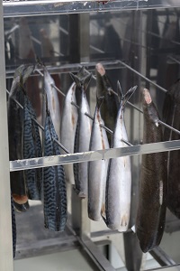 Коптильные камеры для рыбы