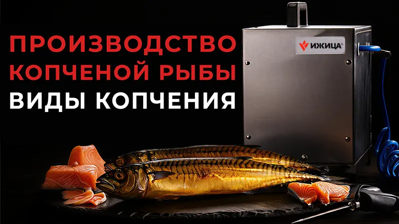 Производство копченой рыбы на примере скумбрии и горбуши