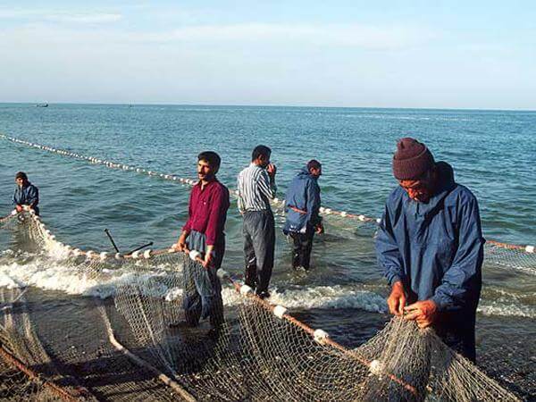 Рыбный промысел на Каспии