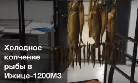 Запуск коптильного производства в Астане
